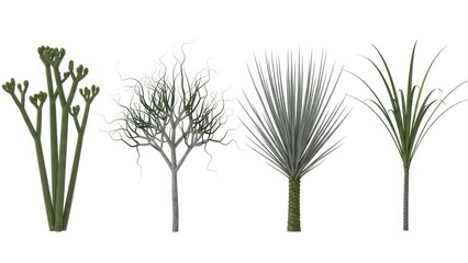 Set of 3D Stylized Trees, Green Foliage, Sparse Branches, Tropical Plants, Isolated