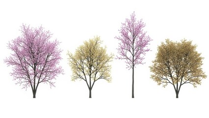 Set of 4 Colorful Trees Isolated on White, Cherry Blossom, Autumn, Spring, Season