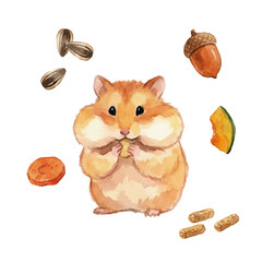 Obraz premium Watercolor-style hamster illustration／ハムスター