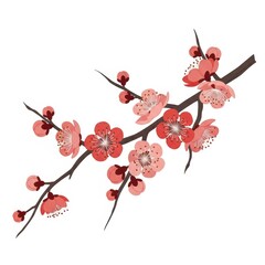 Lunar Festival Flower Illustration