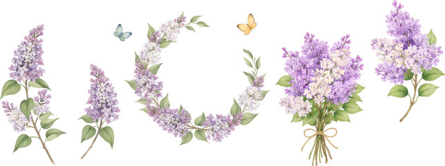 Delicate watercolor lilac flowers and butterfly set for spring design. lavender flowers isolated on white