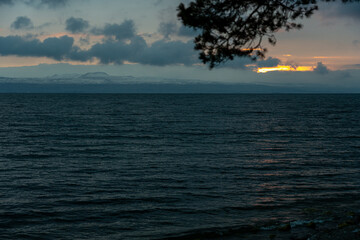 Dramatic Dark Sunset over a Moody Sea or Lake with Silhouetted Pine Branches Framing the View and a Narrow Strip of Light Breaking Through Overcast Clouds.