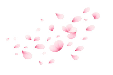 Cherry blossom petals flying, pink sakura flowers falling in spring, romantic floral design element