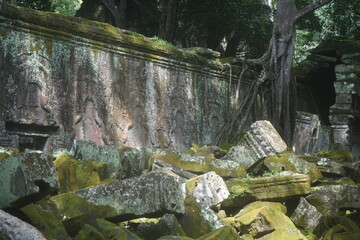 Ta Prohm Temple