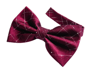 A close-up shot of a sophisticated, self-tie bow tie with burgundy fabric and silver accents