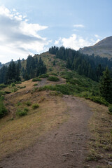 Naklejka premium High-altitude alpine vegetation and granite rocks in the mountains of Kazakhstan. Scenic summer view of Malaya Almatinskaya Krugosvetka trekking route.