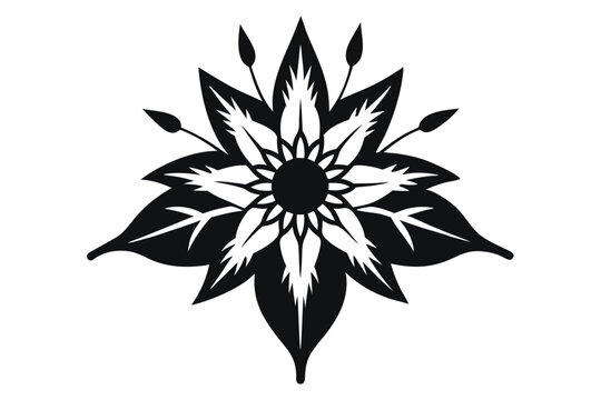 edelweiss silhouette line art vector illustration