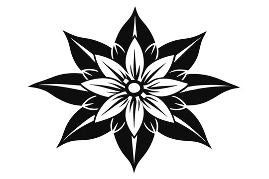 edelweiss silhouette line art vector illustration