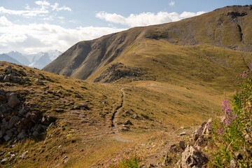 High-altitude alpine vegetation and granite rocks in the mountains of Kazakhstan. Scenic summer view of Malaya Almatinskaya Krugosvetka trekking route.