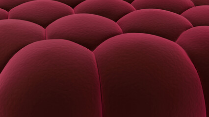Fototapeta premium Abstract 3D render of soft red organic shapes forming a seamless surface. Macro texture background with smooth curves, depth, and minimal lighting. Modern design and medical or artistic concept