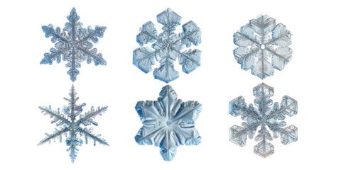 Assortment of Real Snowflake Crystals on Transparent Space