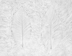 Tree leaf of tropical plant in printed on concrete surface for background