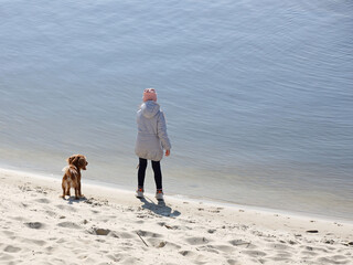 A girl walking a cocker spaniel dog on the beach near the water. Holidays at sea with pets. Joyful game with a dog near the river. Breeding thoroughbred hunting dogs. A place for swimming and relax