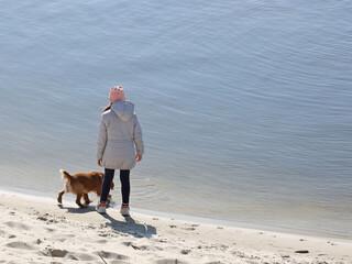 A girl walking a cocker spaniel dog on the beach near the water. Holidays at sea with pets. Joyful game with a dog near the river. Breeding thoroughbred hunting dogs. A place for swimming and relax