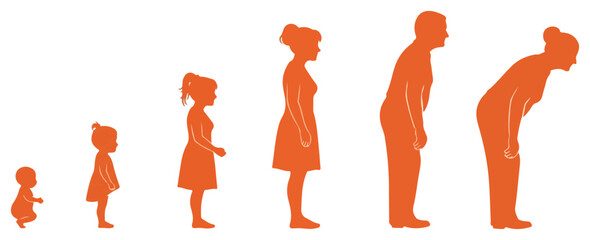 Human Life Cycle Stages from Birth to Old Age.