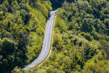 Fototapeta premium highway in the forest in Tuscany