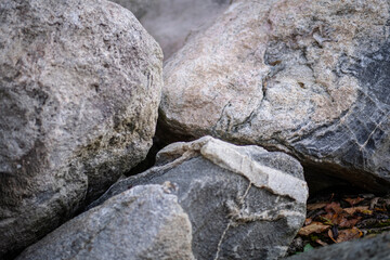 pile of decorative granite boulder rocks  © Neils