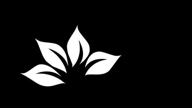 White organic leaf animation icon on black background for health and eco brand.
