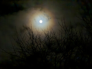 Vollmond in d&uuml;sterer Nacht