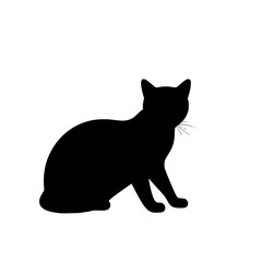 black cat on white background © AKTARA