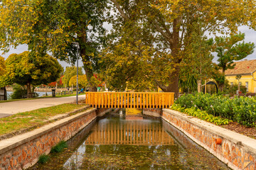 Amazing fall-colored trees surronding the old lake of Tata city, Hungary, Europe. Hungarian name Tatai oreg to.