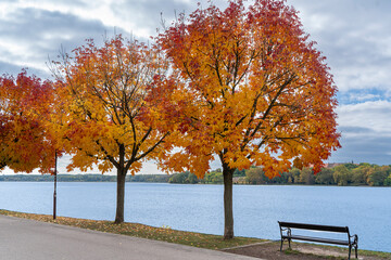 Amazing fall-colored trees surronding the old lake of Tata city, Hungary, Europe. Hungarian name Tatai oreg to.