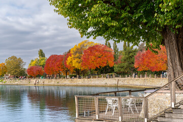 Amazing fall-colored trees surronding the old lake of Tata city, Hungary, Europe. Hungarian name Tatai oreg to.