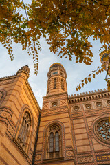 Beautiful autumn-colored trees in front of the Dohany Street Synagogue, Budapest, Hungary.