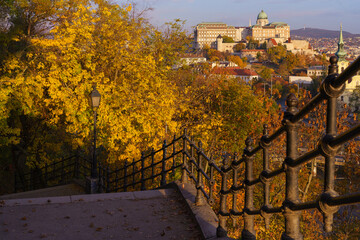 Fall-colored green area in the Gellert hill Budapest, Hungary. Buda Royal castle on the background
