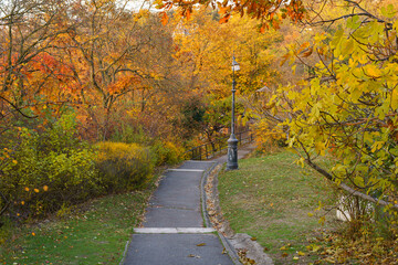 Fall-colored green area in the Gellert hill Budapest, Hungary. Autumn foilage on Gellert mountain in Budapest, Hungary