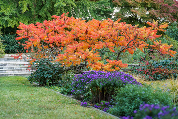 Beautiful colors in Margit island, Budapest, Hungary. Amazing mood in the most fascinating green place in the capital of Hungary.