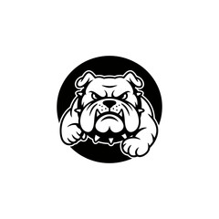 A powerful and aggressive bulldog mascot design with a spiked collar, perfect for sports teams or strong brand identities