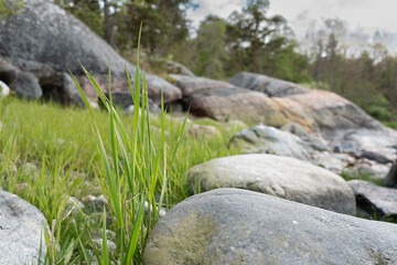 Naklejka premium Close-up of vibrant green grass growing among large, weathered rocks in a natural landscape
