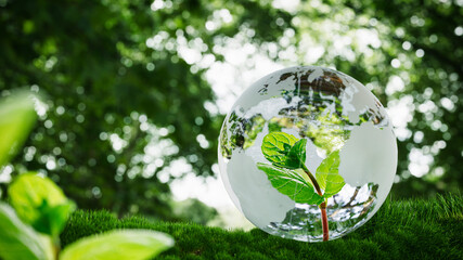 Eco Friendly Crystal Earth Globe with Green Leaves Inside