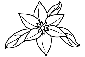 forsythia flower silhouette line art vector illustration