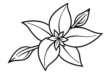 Obraz premium forsythia flower silhouette line art vector illustration