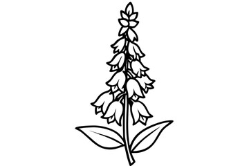 foxglove silhouette line art vector illustration © kanchanrani
