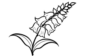 foxglove silhouette line art vector illustration © kanchanrani
