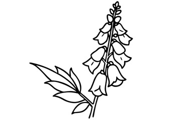 foxglove silhouette line art vector illustration © kanchanrani