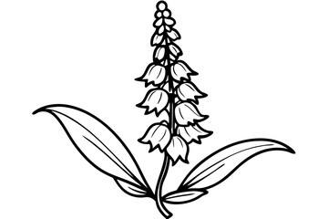 foxglove silhouette line art vector illustration © kanchanrani