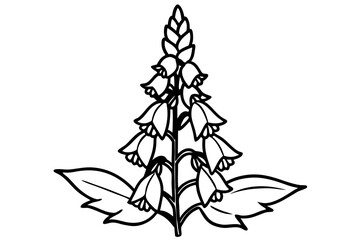 foxglove silhouette line art vector illustration © kanchanrani