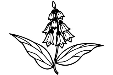 foxglove silhouette line art vector illustration © kanchanrani