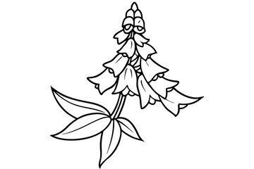 foxglove silhouette line art vector illustration © kanchanrani
