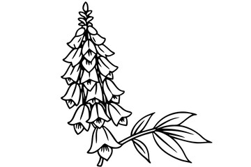 foxglove silhouette line art vector illustration © kanchanrani
