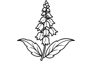foxglove silhouette line art vector illustration © kanchanrani