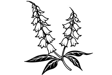 foxglove silhouette line art vector illustration © kanchanrani