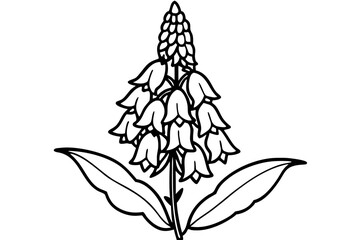 foxglove silhouette line art vector illustration © kanchanrani