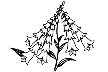foxglove silhouette line art vector illustration © kanchanrani