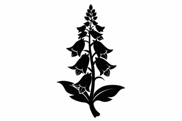 foxglove silhouette line art vector illustration © kanchanrani