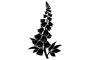 foxglove silhouette line art vector illustration © kanchanrani